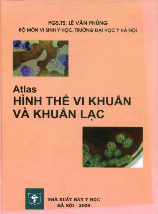Atlas Hình Thể Vi Khuẩn Và Khuẩn Lạc – Bộ Sưu Tập Hình Ảnh Chuyên Sâu