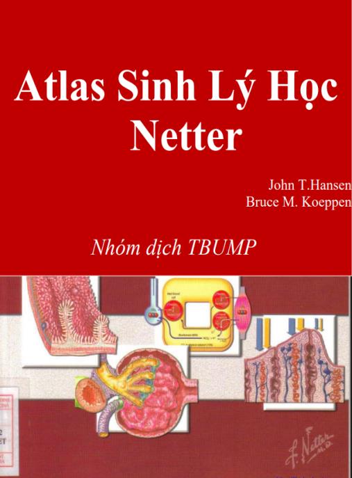 Atlas Sinh Lý Học Netter – Bộ Sưu Tập Hình Ảnh Sinh Lý Đỉnh Cao