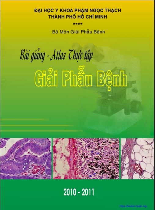 Bài Giảng Atlas Thực Tập Giải Phẫu Bệnh – Hướng Dẫn Thực Hành Minh Họa Sống Động