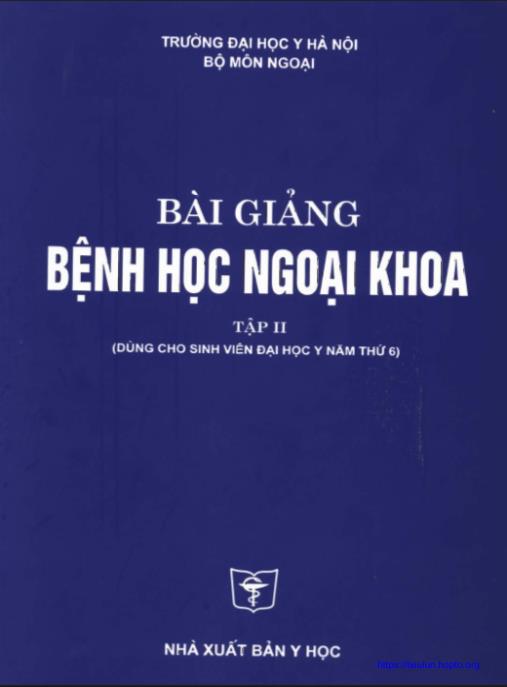 Bài Giảng Bệnh Học Ngoại Khoa Tập 2 – Tài Liệu Chuyên Sâu Cho Bác Sĩ