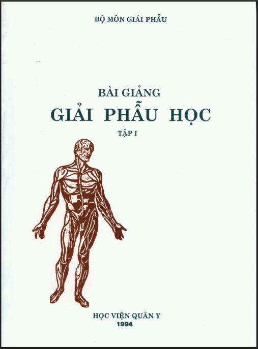 Bài Giảng Giải Phẫu Học Tập 1 – Nền Tảng Vững Chắc Y Khoa