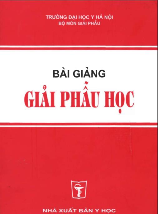 Bài Giảng Giải Phẫu Học – Tài Liệu Y Khoa Chuẩn Cho Sinh Viên