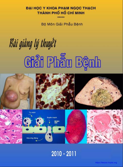Bài Giảng Lý Thuyết Giải Phẫu Bệnh – Tài Liệu Vàng Cho Sinh Viên Y Khoa