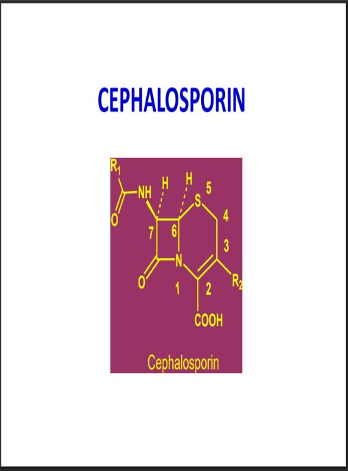 Bài giảng Hóa dược Cephalosporin – Kiến thức chuyên sâu kháng sinh thế hệ mới