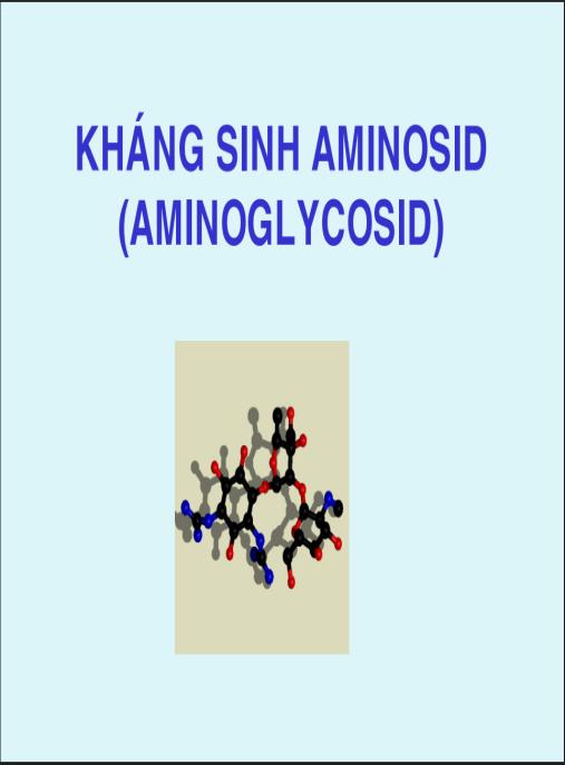 Bài giảng Hóa dược Kháng sinh Aminosid – Tài liệu chuyên sâu cho sinh viên Dược