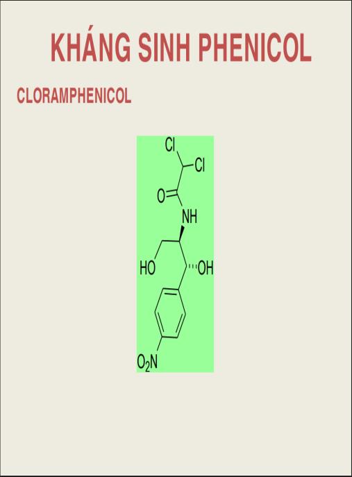 Bài giảng Hóa dược Kháng sinh Phenicol – Kiến thức chuyên sâu