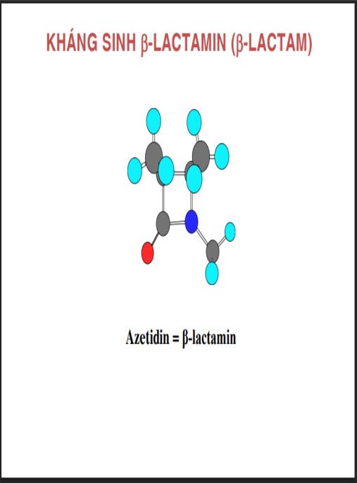 Bài giảng Hóa dược, Nhóm thuốc kháng sinh – Kiến thức chuyên sâu thiết yếu