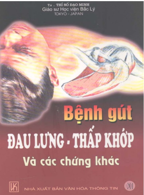 Bệnh Gút Đau Lưng Thấp Khớp Và Các Chứng Khác – Bí Quyết Chữa Trị Đông Y