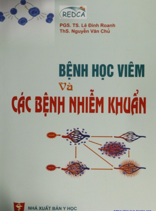 Bệnh Học Viêm Và Các Bệnh Nhiễm Khuẩn – Tài Liệu Y Khoa Chuyên Sâu
