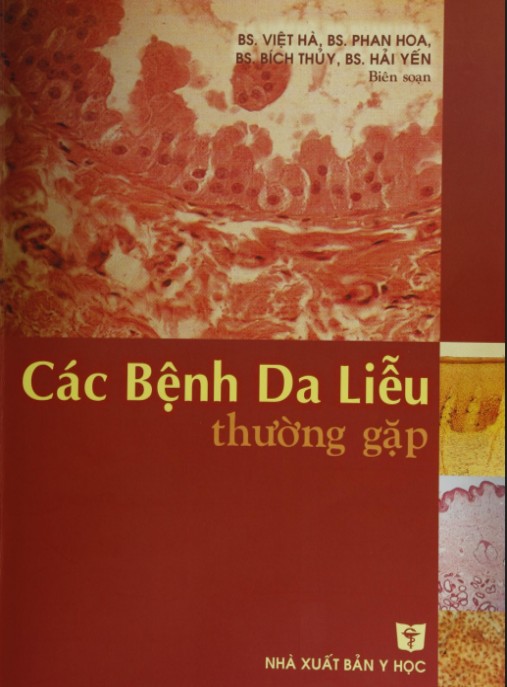 Các Bệnh Da Liễu Thường Gặp – Hướng Dẫn Chẩn Đoán & Điều Trị