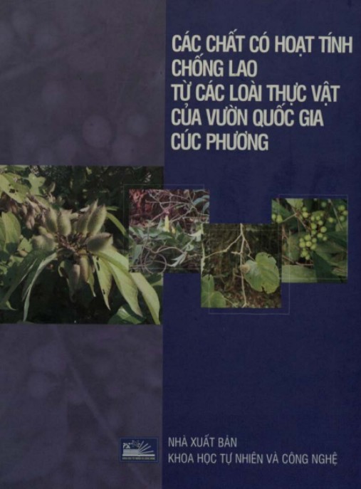 Các Biện Pháp Tránh Thai – Hướng Dẫn Toàn Diện An Toàn & Hiệu Quả