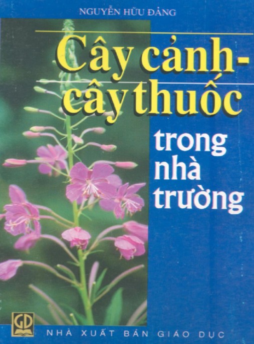 Cây Cảnh – Cây Thuốc Trong Nhà Trường: Bí Quyết Sức Khỏe Xanh