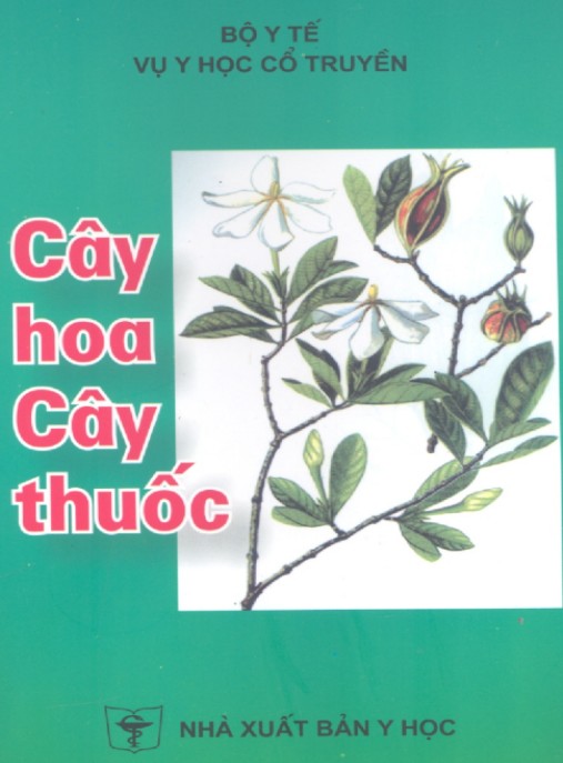 Cây Hoa Cây Thuốc – Bí Quyết Chữa Lành Từ Thiên Nhiên