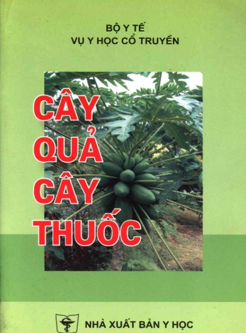 Cây Quả Cây Thuốc – Bí Quyết Sức Khỏe Thiên Nhiên