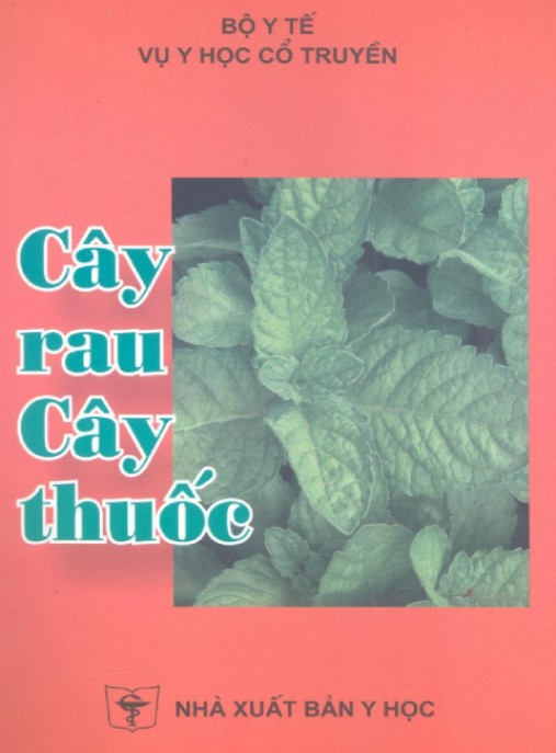 Cây Rau – Cây Thuốc: Bí Quyết Chữa Bệnh Tự Nhiên Từ Rau Củ Hàng Ngày