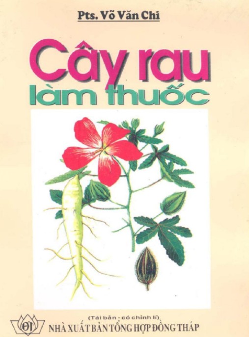 Cây Rau Làm Thuốc – Bí Quyết Chữa Bệnh Từ Thiên Nhiên