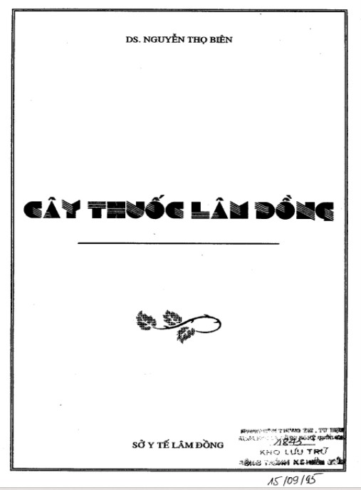 Cây Thuốc Lâm Đồng – Kho Báu Dược Liệu Cao Nguyên Xanh