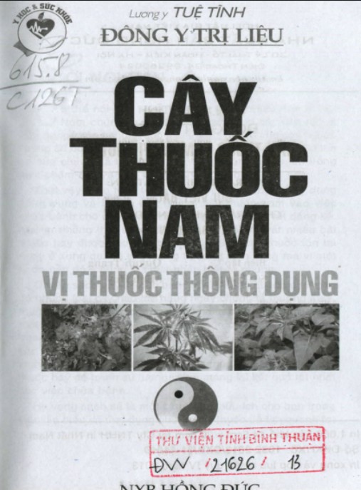 Cây Thuốc Nam Vị Thuốc Thông Dụng – Bí Quyết Chữa Bệnh Từ Thiên Nhiên