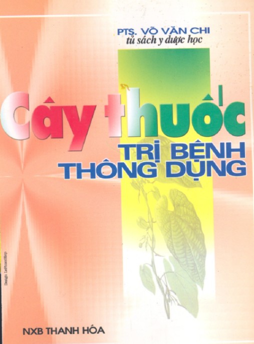 Cây Thuốc Trị Bệnh Thông Dụng – Bí Quyết Chữa Bệnh Tại Nhà Hiệu Quả