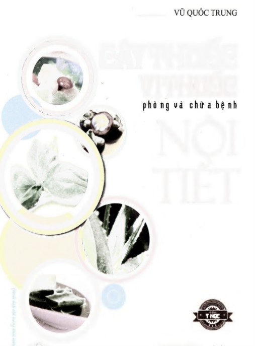 Bí Quyết Thiên Nhiên: Cây Thuốc Vị Thuốc Phòng Và Chữa Bệnh Nội Tiết