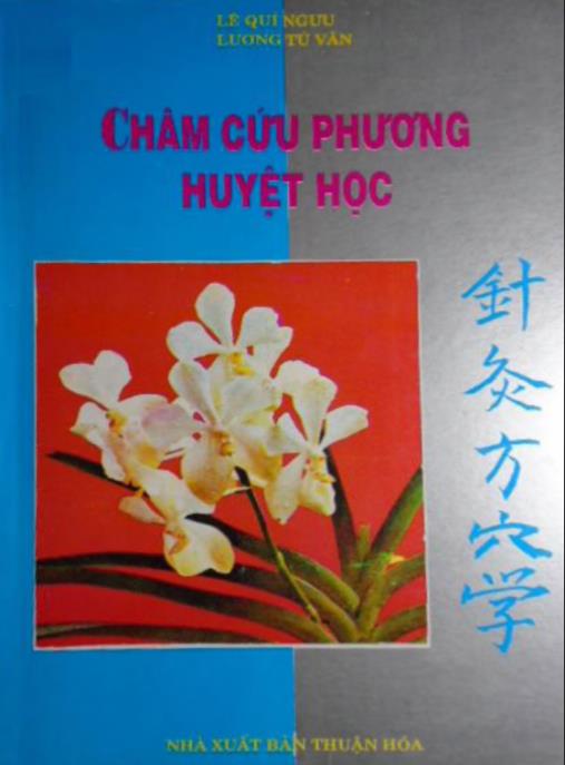 Châm cứu phương huyệt học – Hướng dẫn chuyên sâu từ Lê Quý Ngưu & Lương Tú Vân
