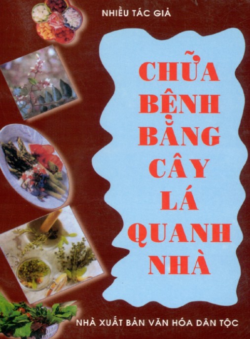 Chữa Bệnh Bằng Cây Lá Quanh Nhà – Bí Quyết Đông Y Dân Gian