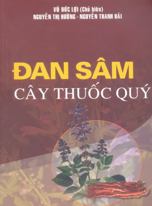 Đan Sâm Cây Thuốc Quý – Bí Quyết Sức Khỏe Thiên Nhiên