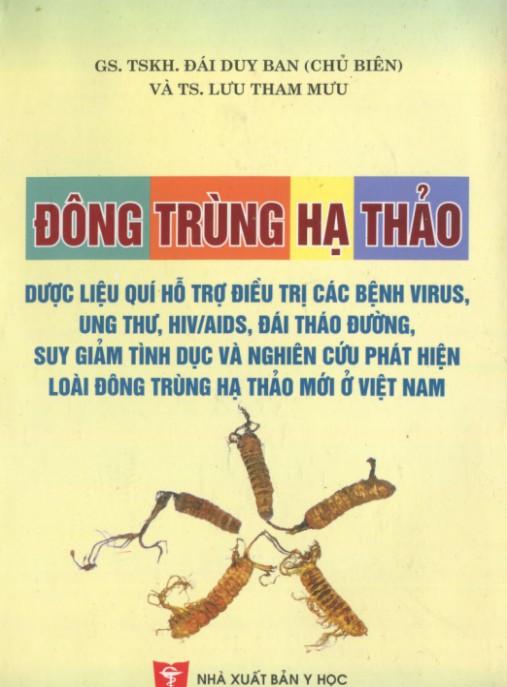 Đông Trùng Hạ Thảo – Bí Quyết Sức Khỏe Vàng Từ Thiên Nhiên