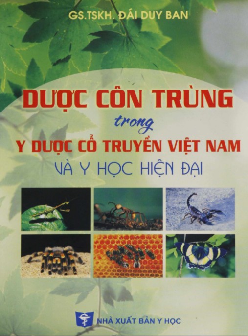 Dược Côn Trùng Trong Y Dược Cổ Truyền Việt Nam Và Y Học Hiện Đại – Bí Quyết Thuốc Nam Hay