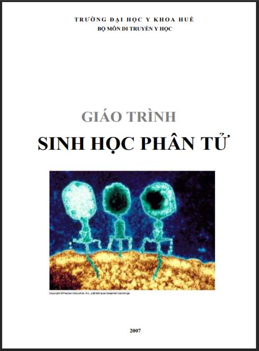 GIÁO TRÌNH SINH HỌC PHÂN TỬ, CHƯƠNG 2: SINH HỌC PHÂN TỬ – Ebook PDF chuyên sâu