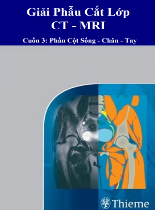 Tải Ngay: Giải Phẫu Cắt Lớp CT MRI Cuốn 3 – Phần Cột Sống Chân Tay