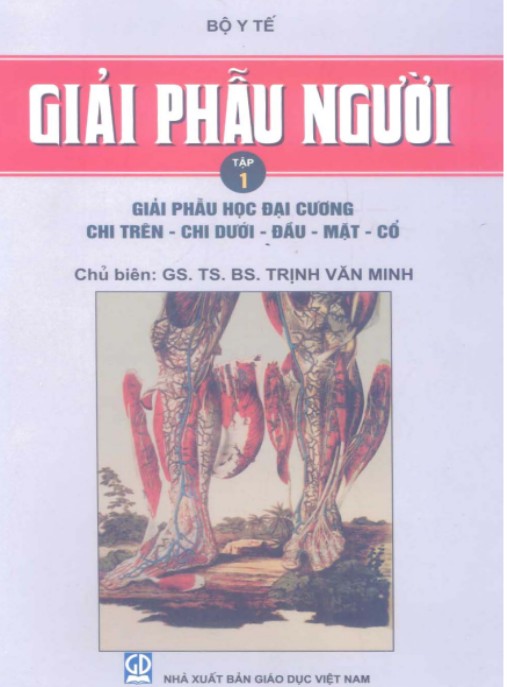 Giải Phẫu Người Tập 1 – Bí Quyết Hiểu Rõ Cấu Tạo Cơ Thể