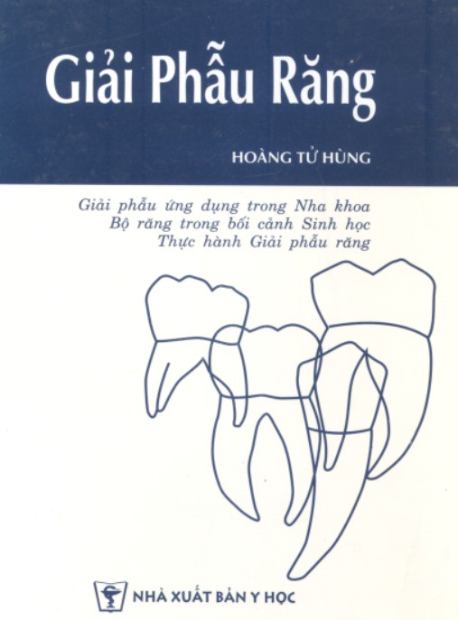 Giải Phẫu Răng: Hướng Dẫn Chi Tiết Cấu Tạo Răng Miệng Hoàn Hảo