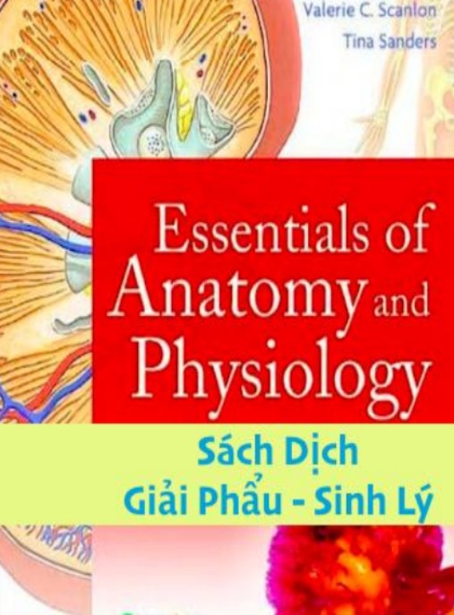 Ebook Giải Phẫu Sinh Lý – Hướng Dẫn Toàn Diện Về Cơ Thể Người