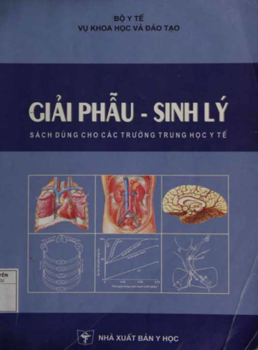 Giải Phẫu Sinh Lý – Hướng Dẫn Toàn Diện Về Cơ Thể Con Người