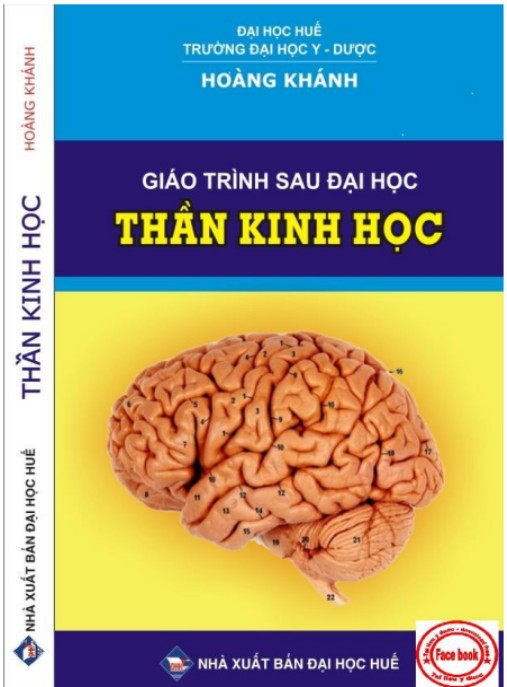 Giáo Trình Sau Đại Học Thần Kinh Học – Tài Liệu Chuyên Sâu Cao Cấp