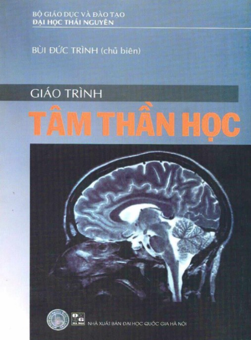 Giáo Trình Tâm Thần Học – Hướng Dẫn Toàn Diện Từ Cơ Bản Đến Nâng Cao