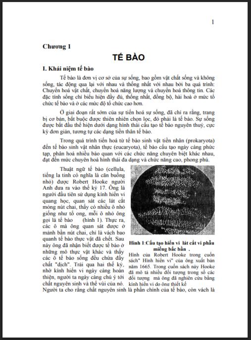 Giáo trình Hình thái giải phẫu học thực vật – Tài liệu chuyên sâu cho sinh viên