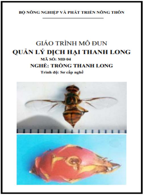 Giáo trình Quản lý dịch hại thanh long – Bí quyết kiểm soát hiệu quả