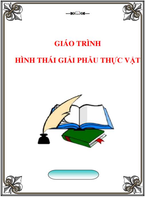 Giáo trình hình thành giải phẫu thực vật học – Tài liệu chuẩn đại học chuyên sâu