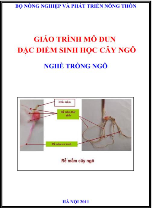 Giáo trình mô đun Đặc điểm sinh học cây ngô (Nghề Trồng ngô) – Nền tảng kiến thức sản xuất chuyên nghiệp!