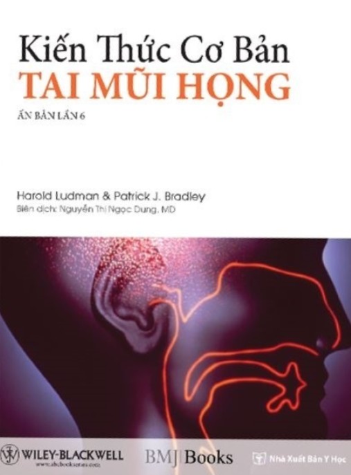 Kiến Thức Cơ Bản Tai Mũi Họng – Hướng Dẫn Toàn Diện Dễ Hiểu