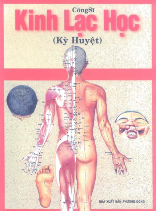 Kinh Lạc Học (Kỳ Huyết) – Bí Quyết Cổ Truyền Khai Thông Kinh Mạch