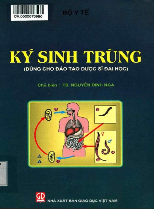 Ký Sinh Trùng – Kiệt Tác Bong Joon-ho Giành 4 Oscar
