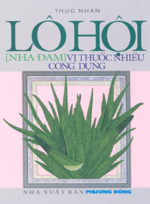 Khám Phá Lô Hội (Nha Đam) – Vị Thuốc Nhiều Công Dụng Kỳ Diệu