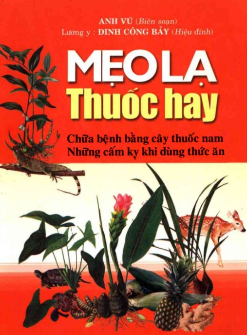 Mẹo Lạ Thuốc Hay – Bí Quyết Chữa Bệnh Dân Gian Siêu Hiệu Quả