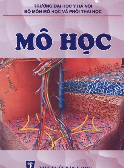 Mô Học – Giáo Trình Y Khoa Toàn Diện Về Cấu Trúc Mô