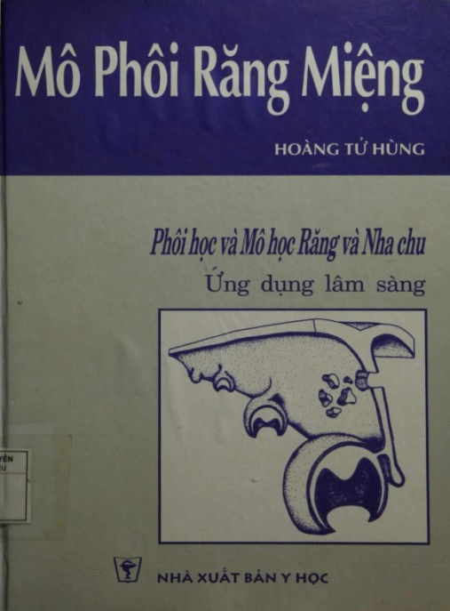Tải PDF: Mô Phôi Răng Miệng – Phôi Học Và Mô Học Răng Và Nha Chu Ứng Dụng Lâm Sàng