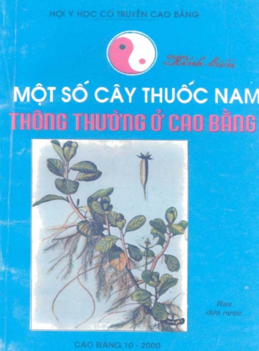 Một Số Cây Thuốc Nam Thông Thường Ở Cao Bằng – Kho Báu Y Học Dân Gian