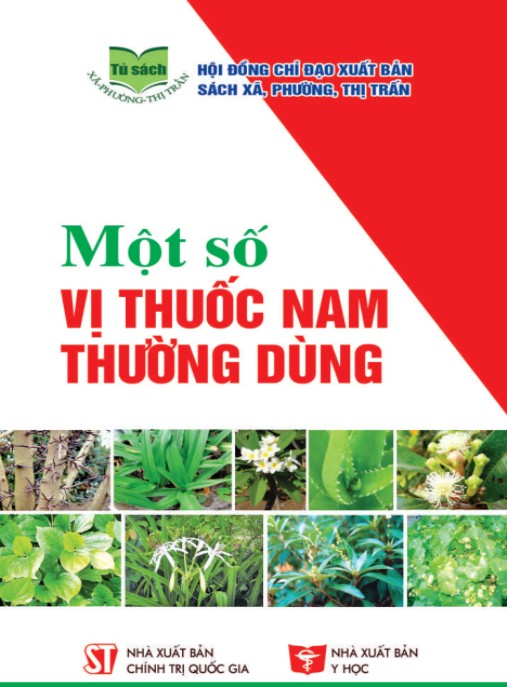 Một Số Vị Thuốc Nam Thường Dùng – Bí Quyết Chữa Lành Từ Thiên Nhiên